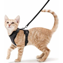 Coleira peitoral anti-fuga para gatos com guia, ajustável para gatinhos, tamanho P, preta, ideal para passeios diários.