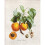 LUCA-S KIT DE POINT DE CROIX, MULTICOLORE, 17,5X22,5CM BL22450 1