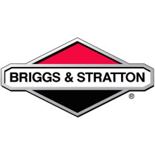 Carburateur - BRIGGS &amp; STRATTON - 84001032 - Noir - Référence d'origine - Pièce de remplacement