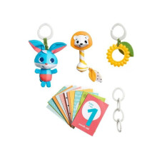 TINY LOVE Cadeauset: een speelgoed, 12 mijlpaalkaarten, rammelaar, Tactiele Zonnebloem, 4 clips voor bevestiging, In de weide