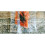 50 sacs de conservation et cuisson pour mise sous vide-30x40cm 3