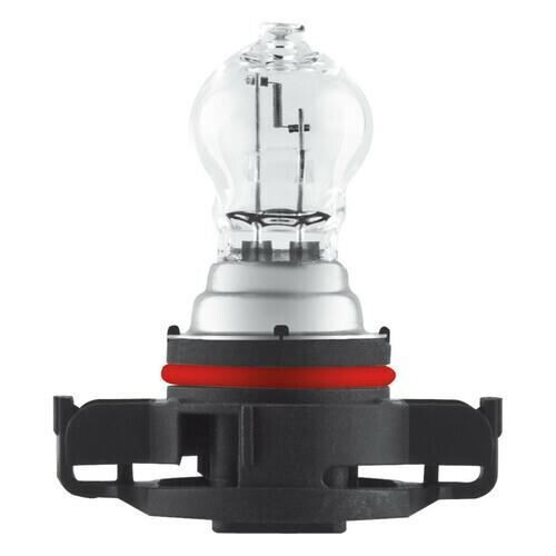 OSRAM Ampolla - OSRAM - PSX24W - 12V - Halógena - 24W