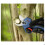 Bosch GGP 18V-32 Solo Gartenschneider 3