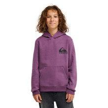 (10 Yrs, Grape Jam) Quiksilver Kids Omni Logo Hoodie
