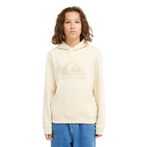 Quiksilver (12 Yrs, Bone) Quiksilver Kids Comp Logo Pullover Hoodie
