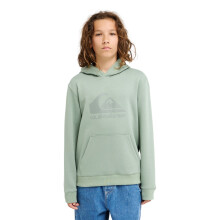 (8 Yrs, Iceberg Green) Quiksilver Kids Comp Logo Pullover Hoodie