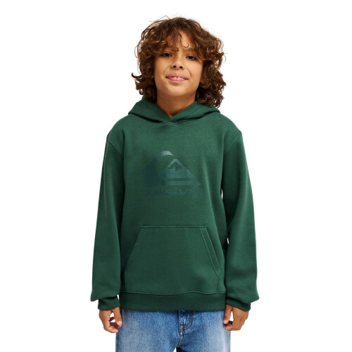 Quiksilver (8 Yrs, Forest) Quiksilver Kids Comp Logo Pullover Hoodie