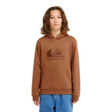 (8 Yrs, Rawhide) Quiksilver Kids Comp Logo Pullover Hoodie