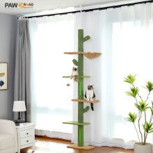 Arbre à chat 5 niveaux, Tour de chat du sol au plafond en forme de cactus, avec hamac et poteau à griffer pour intérieur