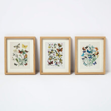 Framed Butterflies Wall Art, 20 x 25cm, Set of 3