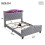 HOMAIRE Grey Velvet Upholstered Storage Bed 4ft6 2