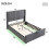 HOMAIRE Grey Velvet Ottoman Bed 4ft6 Double 2
