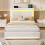 HOMAIRE Velvet Upholstered 4ft6 Storage Bed Beige 3
