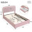 HOMAIRE Pink Velvet Upholstered 4ft6 Double Bed 2