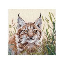 Kit point de croix compté - OVEN - Lynx - toile Aïda 16ct beige - 26 couleurs - motif 22x22 cm