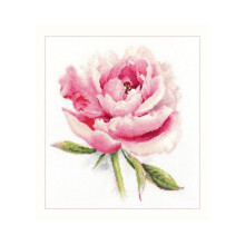 Kit de point de croix - ALISA - Pivoine tendre (2-47) - Toile AĂŻda 16ct blanc - 29 couleurs - Motif 22x24 cm