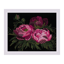 Kit point de croix compté - RIOLIS - Pivoines dentelle - 30x24 cm - Aida 14ct noir - 7 couleurs