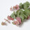 Homescapes Faux Blush Eucalyptus Spray, 85cm 3