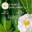 Herbal Essences Herbal Essences Bio: Renew Hemp + Potent Aloe 3