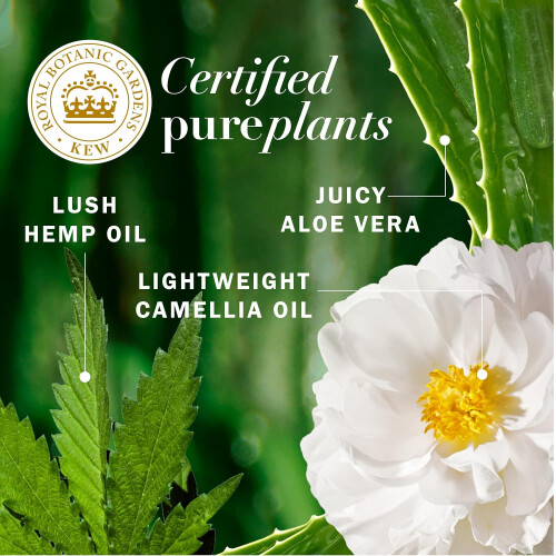 Herbal Essences Herbal Essences Bio: Renew Hemp + Potent Aloe 2