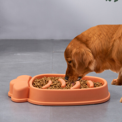 Karottenförmiger Hunde-Fressnapf, grün 2
