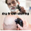 2PCS Head Shaver Replacement Heads with 2 Cleaning Brushes for Titanium Shavers, Smooth Close Shave, Easy Maintenance 2