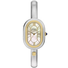 Montre femme FOSSIL CE1002 - quartz
