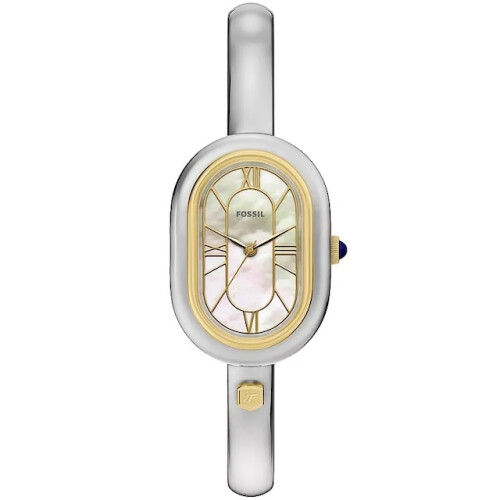 Fossil Reloj Mujer FOSSIL CE1002 - cuarzo