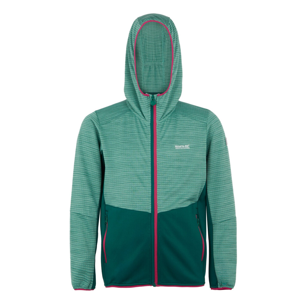 Regatta (14 Years, Rainforest/Dusty Green) Childrens/Kids Prenton Iii Jacket