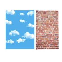 3X5Ft Sky White Cloud Photography Backdrop Screen Background Studio Props & Red Brick Wall