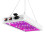 Φως LED 2000W για φυτά εσωτερικού χώρου 312 LED πλήρους φάσματος για λαχανικά 3
