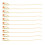 12pcs Disposable Catheters 1