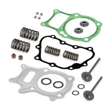 Para Recon 250 TRX250 Sportrax 250 TRX250EX TRX250 Kit de Sellos de Vástago de Admisión y Entrada de Válvulas de Escape 14711-HM8-A40