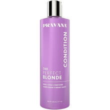 Dye Dyed The Perfect Blonde Lila Tönungspflege, 300 ml