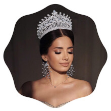 FASNAHOK Tall Crowns for Women Princess Silver Wedding Tiaras with Crystal Cubic Zirconia Large Birthday Party Pageant Hair Accessories Gifts for Wome