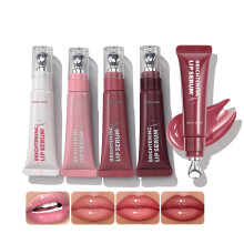 DENESTUP Hydratisierender Lip Gloss Set, Glänzender Jelly Lippenstift, Plumpender Lipgloss für Frauen (4 Farben)