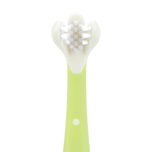 2 Piece Baby Toothbrush Training Set, 6+M, BPA Free 2
