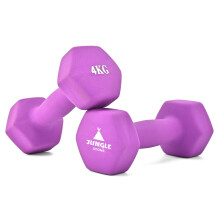 Dumbbells Set of 2 for Home Gym Exercise, Non-Slip Neoprene Hand Weights with Matte Finish, Sweat-resistant, Fitness Exercise, Dumbbells (4KG x2
