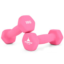 Dumbbells Set of 2 for Home Gym Exercise, Non-Slip Neoprene Hand Weights with Matte Finish, Sweat-resistant, Fitness Exercise, Dumbbells (1KG x2 Pink)
