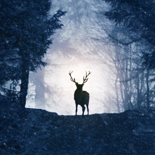 Prancer: A Christmas Tale [Blu-ray] 2