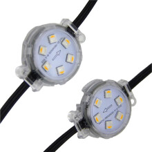 40 mm Fullfärgade LED-Pixellampor för Utomhusbruk, Vattentät Landskapsbelysning, 24V RGB-Ljusslingor för Nöjeslokaler.