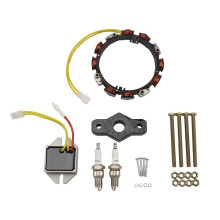 Estator de Alternador 592830 Regulador de Voltaje de 10-16 Amperios con Bujía y Extractor de Volante 19203 para Briggs & Stratton 394890
