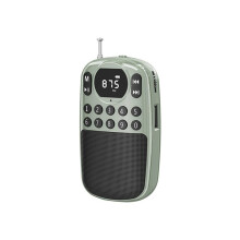 Pocket FM Radio Portable Digital Receiver Wireless Speaker MP3 Music Player TF Card U Disk 3.5mm Earphones