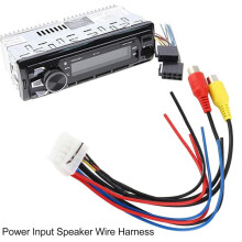 10 Pin Plug Car Stereo Amplifier Power Harness Sub-Woofer RCA Adapter for Dual TBX10A Amplifier