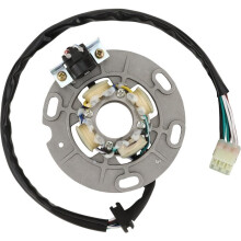 4SS-85560-00 Motorcycle Stator Coil for YZ80 YZ80SK 1998 YZ80H SK 1996 YZ125 1996-2004 YZ125PSK 2002-2003