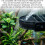 With Suction Cups Aquarium Filter Baffle Adjustable Easy Install Water Controller Black Aquarium Filter Accessories 5