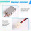 HD Linear Vibration Motor Rumble for   2  2 Replacement for NS2 HD Rumble Motor 5