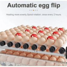 6 Eggs Incubator Eggs Digita Automatie Incubatores for Hatching Quail Chicken Egg Hatching EU Plug