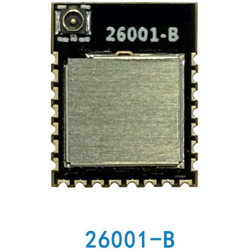 NRF54L15 -Modul Låg Effekt BLE 6.0 -Modul, Multi-IO, Multi-Protokoll, IPX4-Antenn 2