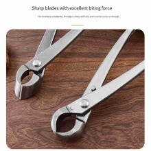 Set D'Outils de Bonsai de 4 Pièces, Outils pour Arbre Bonsai, Coupeur de Bouton, Coupeur Concave, Outil de Soins des Plantes et Crochet à Racines